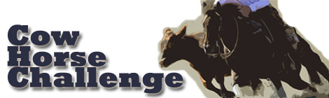 Cow Horse Challenge feature image